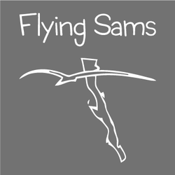 Flying Samaritans