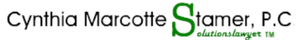Cynthia Marcotte Stamer