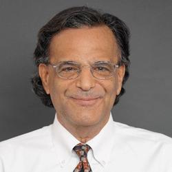 Peter J Lesser